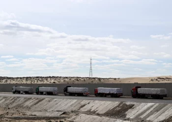 Camiones que transportan ayuda para Gaza hacen fila cerca de un puesto de control a lo largo de una carretera en la península del Sinaí, en el norte de Egipto, cerca de la ciudad de Bir al-Abd, el 19 de enero de 2025 (Khaled DESOUKI / AFP)