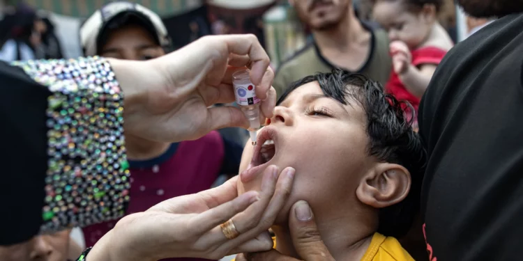 Un niño recibe una vacuna contra la polio en un campamento improvisado para personas desplazadas por la guerra en una escuela dirigida por la UNRWA en Jan Yunis, en el sur de la Franja de Gaza, el 5 de septiembre de 2024, en medio de la guerra en curso en el territorio palestino entre Israel y Hamás. (Bashar TALEB / AFP)