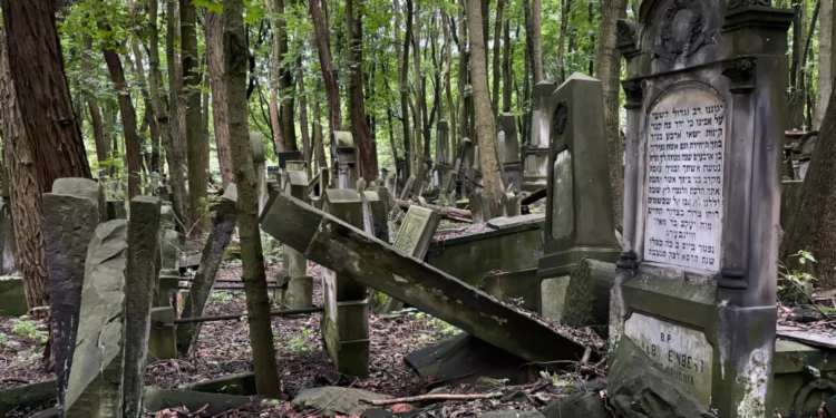 Estudiantes de arqueología restauran cementerio judío de Varsovia