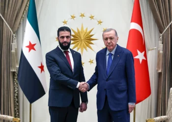 El presidente turco, Recep Tayyip Erdogan, a la derecha, estrecha la mano del presidente interino de Siria, Ahmed al-Sharaa, durante su reunión en el palacio presidencial, en Ankara, Turquía, el 4 de febrero de 2025. (Presidencia turca vía AP)