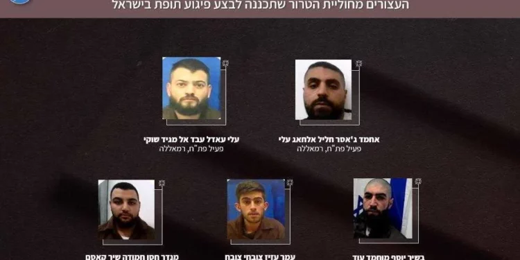 Miembros de una supuesta célula terrorista que, según el Shin Bet, habría sido detenida el 6 de febrero de 2025 por un complot para bombardear un autobús de Jerusalén a finales de 2024: (fila superior de izquierda a derecha): Ahmad Jassar Ali, Mundhir Sheikh Qassem; (fila inferior de izquierda a derecha), Bashir Awad, Omar Subah y Ali Shweiki (Shin Bet)