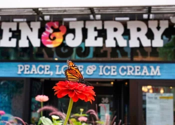 Una mariposa monarca se posa sobre una flor afuera de la heladería Ben & Jerry's, en Burlington, Vermont, el 20 de julio de 2021. (Foto AP/Charles Krupa)