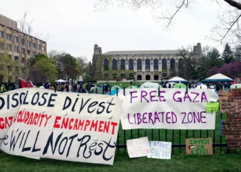 Se exhiben carteles en el exterior de un campamento de tiendas de campaña en la Universidad Northwestern el 26 de abril de 2024, en Evanston, Illinois. (Foto AP/ Teresa Crawford)