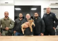 Policía rescata monos y cachorros de león traficados ilegalmente