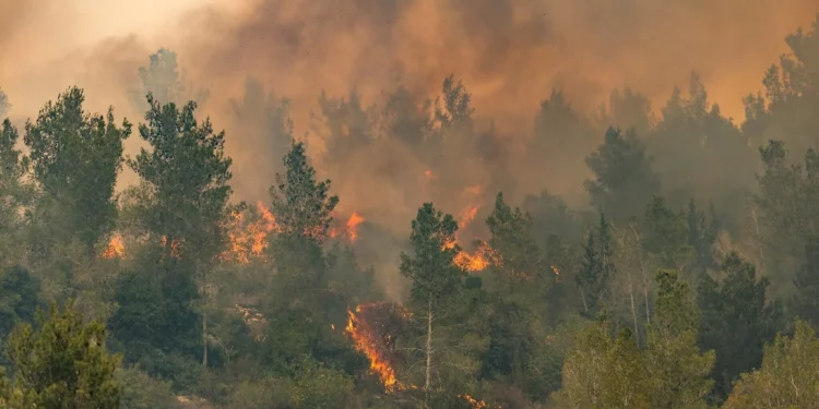 Fuerza aérea de Israel combate incendio masivo cerca de Jerusalén