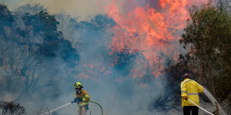 Incendios forestales provocan evacuaciones masivas en Israel