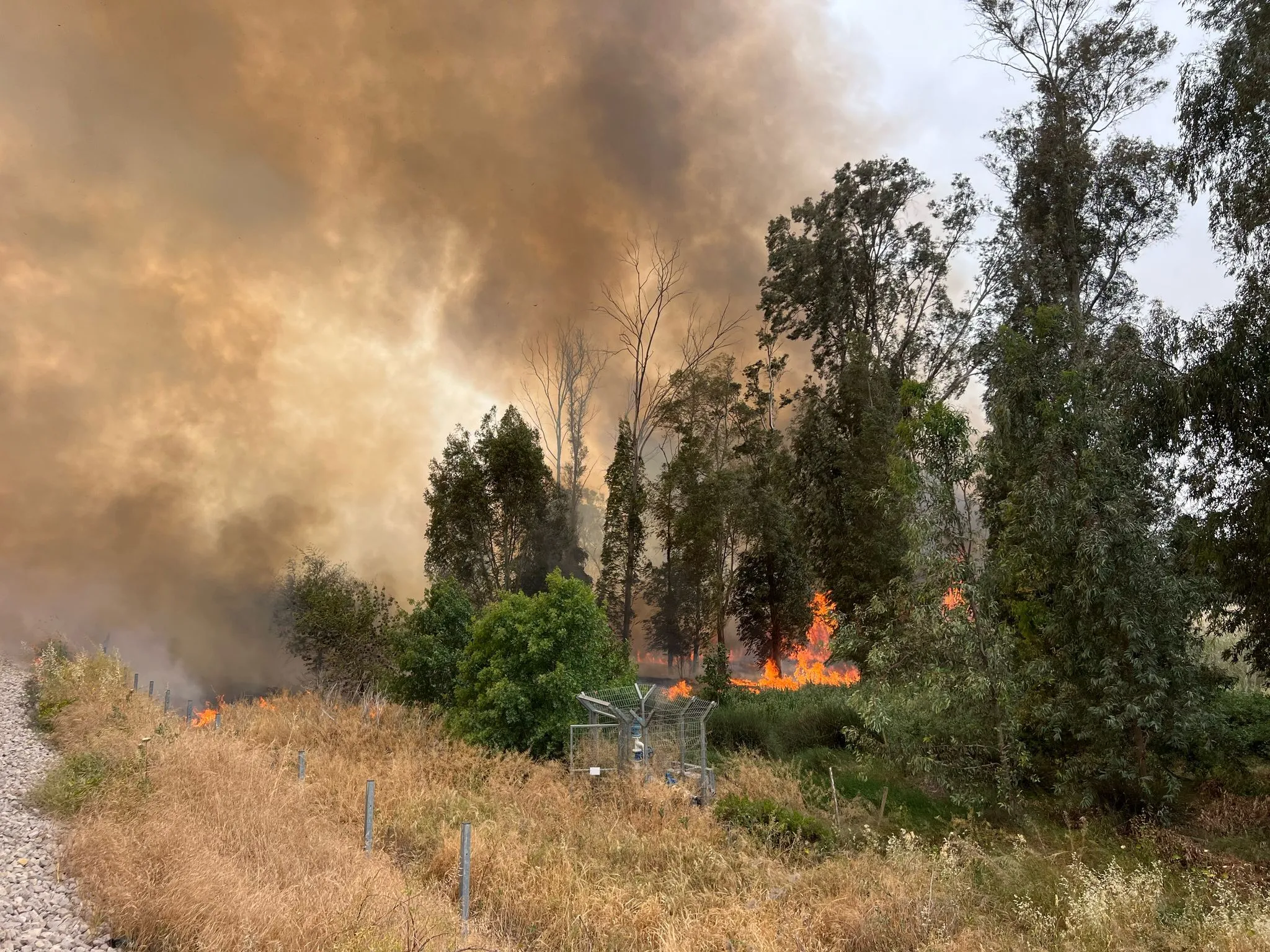 Un gran incendio estalla cerca de la Ruta 6 en el centro de Israel