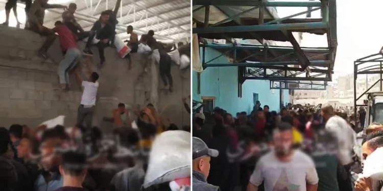 Palestinos ingresando a un almacén de la UNRWA en la ciudad de Gaza, cargando sacos de harina, el 2 de abril de 2025. (Telegram, utilizado de conformidad con el artículo 27a de la Ley de Derechos de Autor)