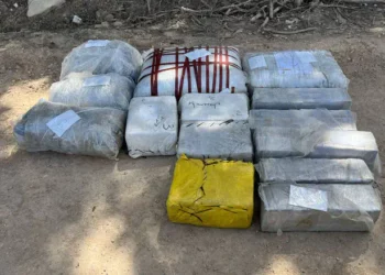 Portavoz de las FDI