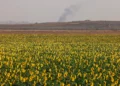 Esta imagen, tomada desde una posición en el sur de Israel en la frontera con la Franja de Gaza, muestra humo en Gaza durante los ataques israelíes el 18 de mayo de 2025.