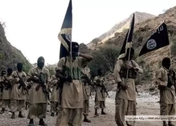 Ataque de EE. UU. elimina a cinco miembros de Al Qaeda en Yemen