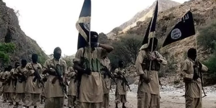 Ataque de EE. UU. elimina a cinco miembros de Al Qaeda en Yemen