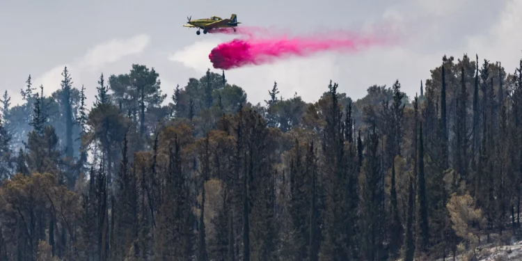 Incendio en Jerusalén controlado tras devastar 20,000 dunams