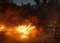 Arrestan a 18 personas por provocar incendios cerca de Jerusalén