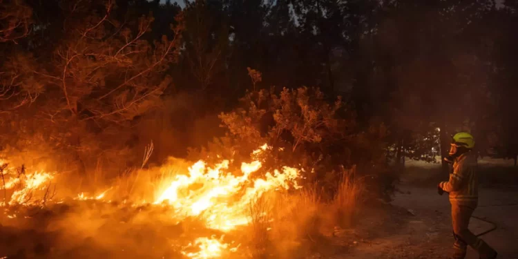 Arrestan a 18 personas por provocar incendios cerca de Jerusalén