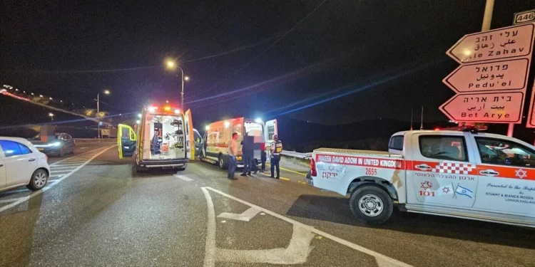 Dos heridos graves en ataque terrorista palestino en Israel