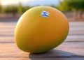 Empresa israelí lanza mango-nectarina con cáscara lisa
