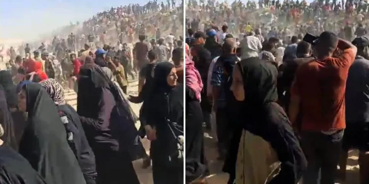 Multitud invade centro de ayuda establecido por Israel en Rafah