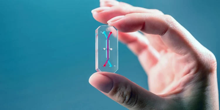 Empresa israelí crea chip que simula el útero para probar fármacos