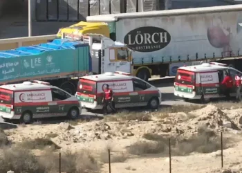 Unidad del Portavoz de las FDI
