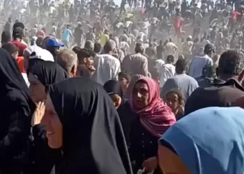 Fundación Humanitaria de Gaza reanuda distribución tras estampida