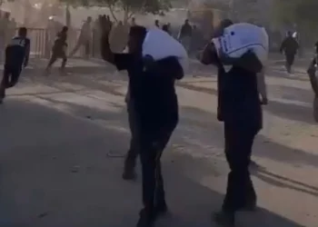 Más de 100 camiones de ayuda cargados de harina saqueados en Jan Yunis