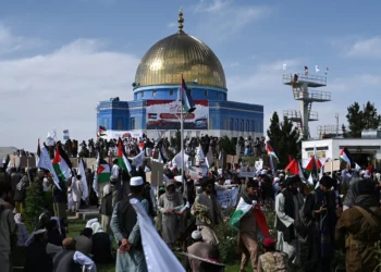 “Gaza no está sola”: talibanes organizan manifestaciones antiisraelíes en Afganistán
