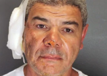 Activistas proterroristas difunden vídeos que respaldan el ataque de Colorado e instan a más violencia