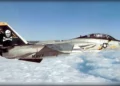 El último gato: el F-14 Tomcat y su papel en la defensa aérea de la flota