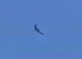 Avistado el avión no tripulado secreto RA-01 de Israel