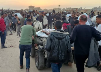 Fundación Humanitaria de Gaza desmiente rumores sobre ataque mortal