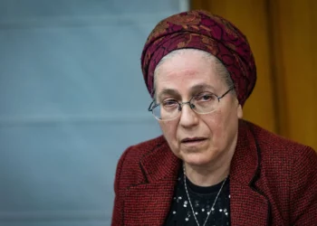 Las FDI deben ampliar las operaciones en Gaza