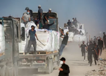 Voluntarios de familias palestinas custodian camiones con ayuda humanitaria que ingresaron a la Franja de Gaza desde el cruce fronterizo de Zikim, el 25 de junio de 2025. (Bashar TALEB / AFP)