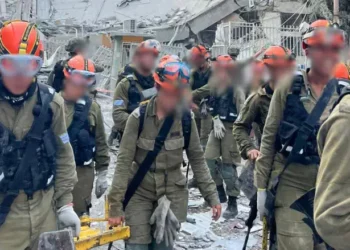 Fuerzas de Defensa de Israel
