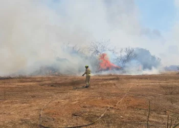 Un bombero trabaja para extinguir un incendio que se propaga rápidamente en el centro de Israel el 22 de julio de 2025. (Ofer Ashkenazi/Servicio de Bomberos y Rescate)