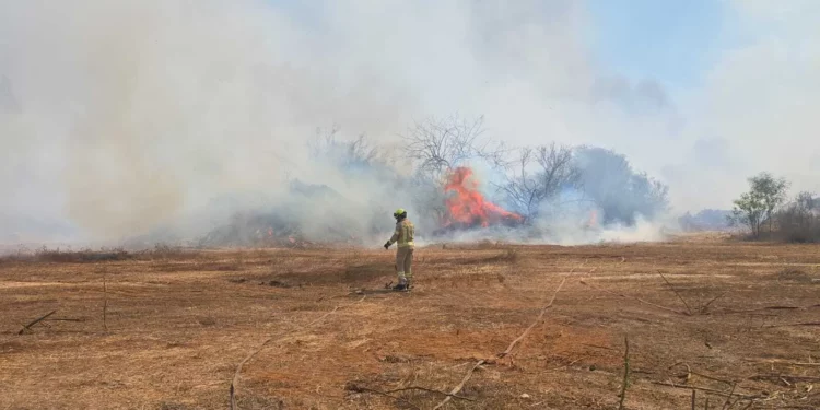 Un bombero trabaja para extinguir un incendio que se propaga rápidamente en el centro de Israel el 22 de julio de 2025. (Ofer Ashkenazi/Servicio de Bomberos y Rescate)