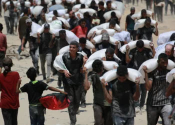 Imagen ilustrativa: Palestinos cargan sacos de harina cerca de Jabaliya, en el norte de la Franja de Gaza, el 27 de julio de 2025, después de que camiones con ayuda humanitaria ingresaran al norte de Gaza. (BASHAR TALEB / AFP)
