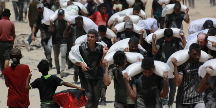 Imagen ilustrativa: Palestinos cargan sacos de harina cerca de Jabaliya, en el norte de la Franja de Gaza, el 27 de julio de 2025, después de que camiones con ayuda humanitaria ingresaran al norte de Gaza. (BASHAR TALEB / AFP)