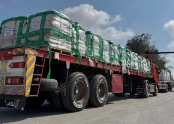 Camiones que transportan ayuda humanitaria esperan a que se les permita cruzar desde el lado egipcio del cruce fronterizo de Rafah con la Franja de Gaza el 28 de julio de 2025. (AFP)
