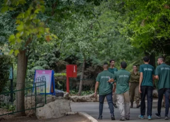 Leopardo que mató a cuidador en Jerusalén no será sacrificado